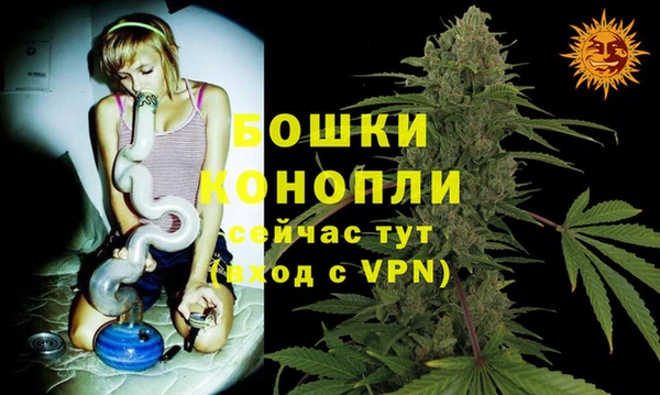 трава Новозыбков