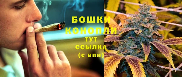 трава Новозыбков