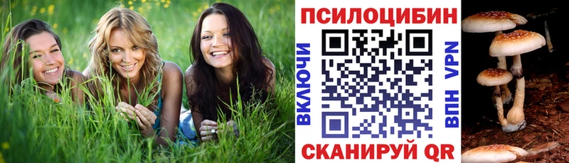 Галлюциногенные грибы Cubensis  Тольятти 